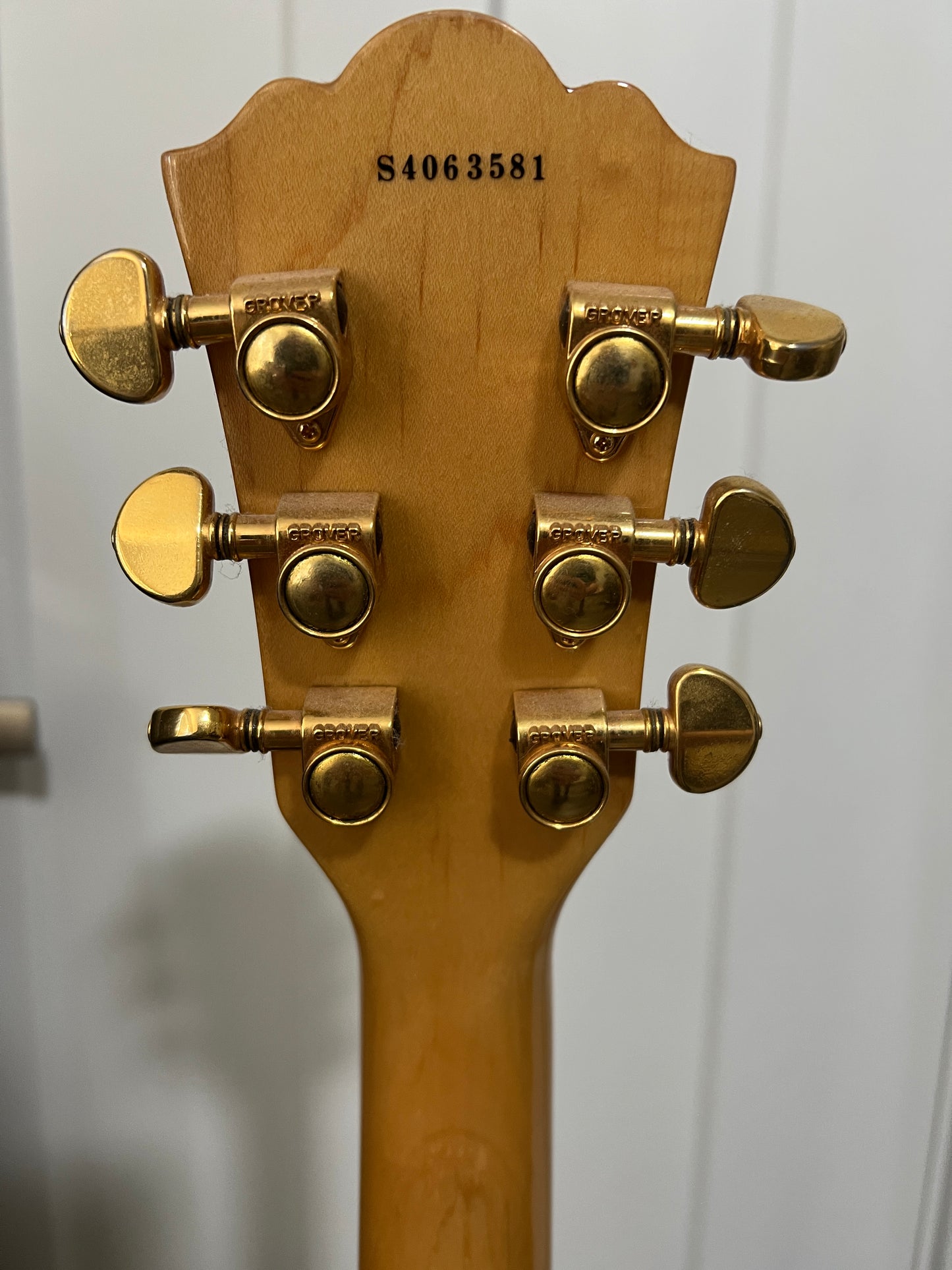 Washburn J-6S Hollow Electric Guitar Natural w/ Case